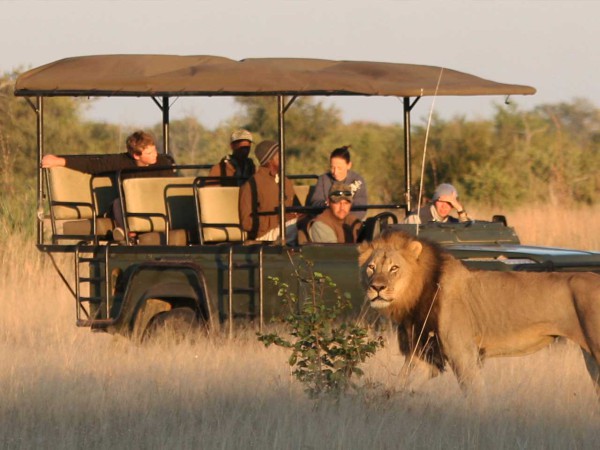 Zambezi National Park Game Drive