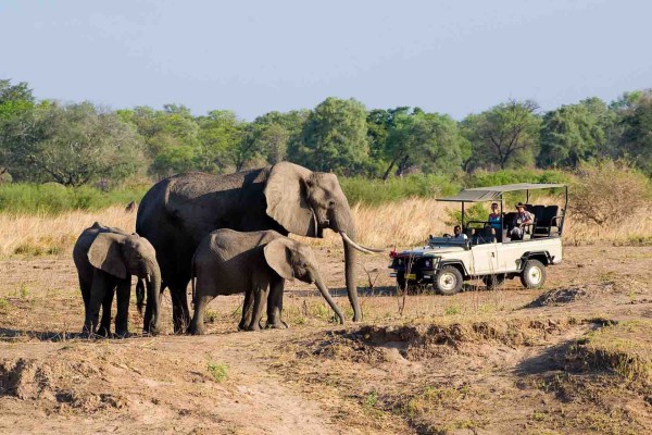 Hwange National Park
