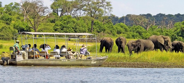 Chobe Safari (Botswana) and Impalila Island (Namibia) Day Trip From Victoria Falls Zimbabwe [3 Countries in 1 Day]